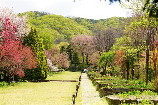 求助关于这个马来西亚的签证是什么意思？