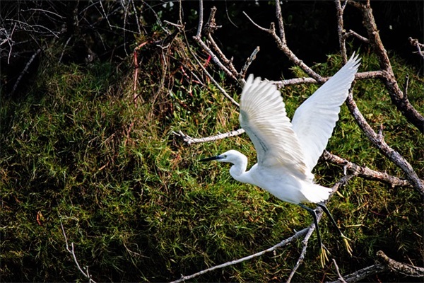 请问漂移大师Ken Block戴的是什么牌子的眼镜？