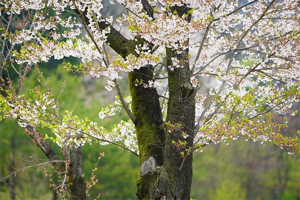 北京地铁票价调整成什么样了？地铁票价和公交票价为什么调整，
