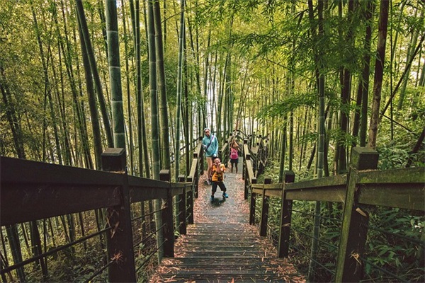 煮羊肉放什么调料可以去味