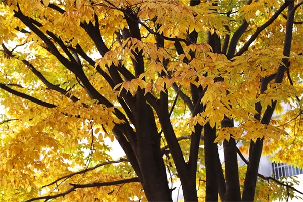 qq网名有内涵女生