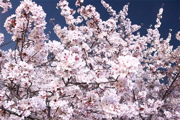 三人闺蜜网名简短可爱