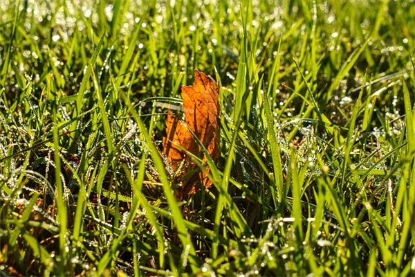 qq网名简单七个字的