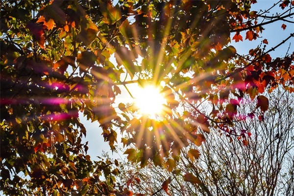 90个性字母符号网名