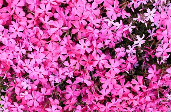 车队网名情侣可爱图片