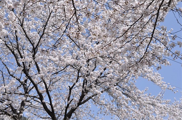 网名女生最可爱