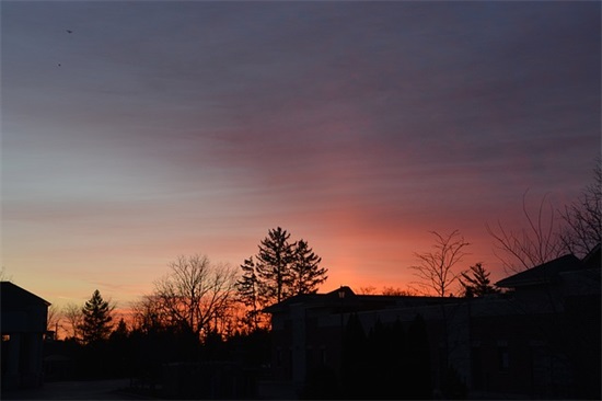 有关姓许的qq网名