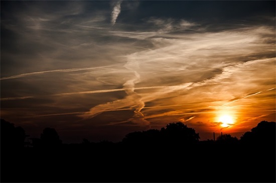 猫睡觉的时候会抓老鼠吗？怎么看猫会不会抓老鼠？