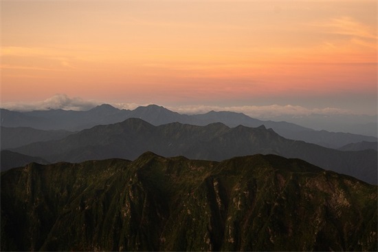 葡萄夏黑怎么管？