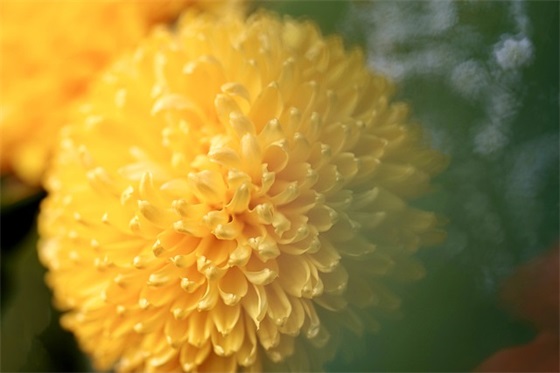 茶餐厅的典型特点是什么？——探寻茶餐厅的文化底蕴与经营模式