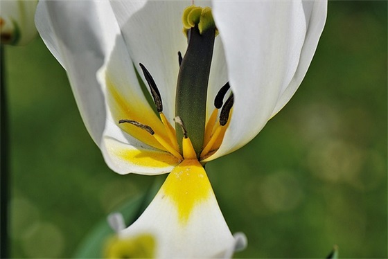 还没上市的欧宝紧凑级SUV大约多少钱