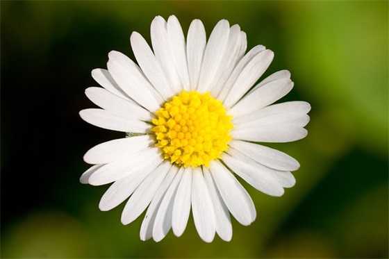 街舞教学视频的推荐与选择有哪些值得注意的地方？