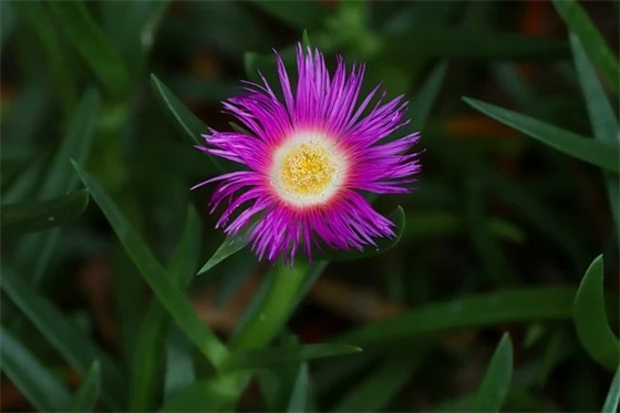 【八十年代歌曲大全100首老歌有哪些？】