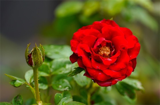 休闲食品的种类有哪些？如何选择适合自己的休闲食品?