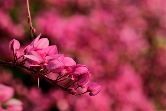 广场舞远方的客人请你留下来？如何优雅地拒绝？！