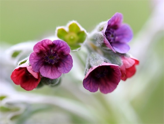 妈妈今后就是你的女人了？这句话背后的家庭关系有哪些变化？
