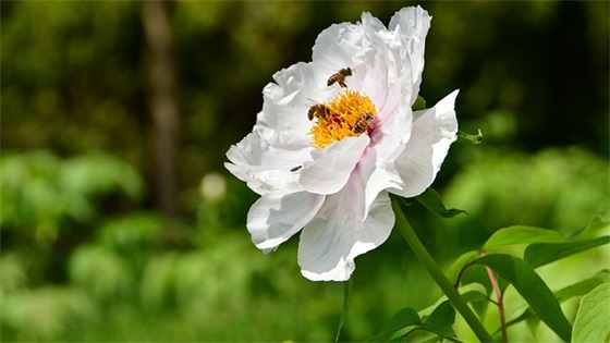 广场舞爱情神马价？广场舞爱情神马价的正背面是怎样的？