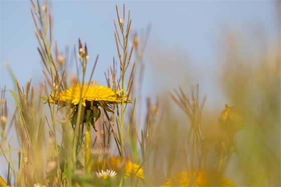 家长期望寄语 【高考前给孩子的一封信家长期望寄语】