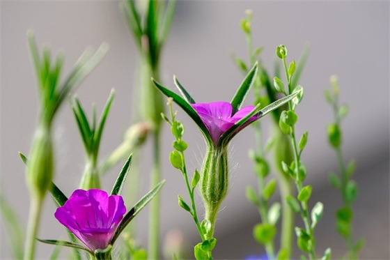 高中生励志家长寄语大全-100句