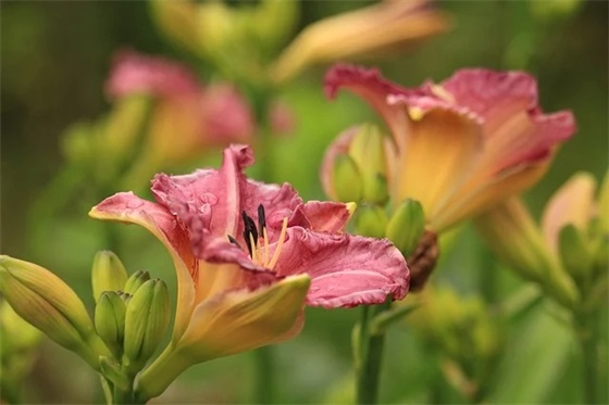 七年级第二学期家长寄语 【七年级第二学期家长寄语怎么写】