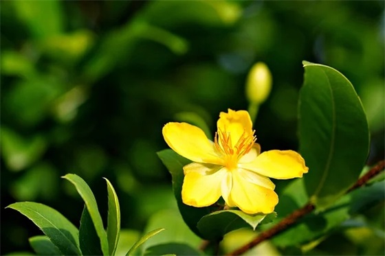 高中毕业寄语与祝福的话怎么写-100句