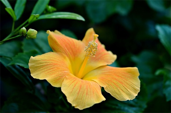 对孩子大班的希望和寄语 【对孩子大班的希望和寄语怎么写】 对孩子大班的希望和寄语 【对孩子大班的希望和寄语怎么写】