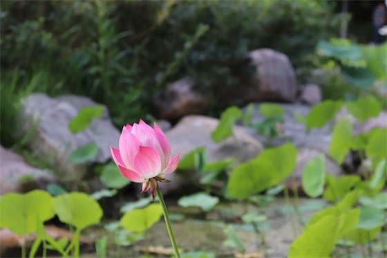 父母给幼儿园孩子寄语 【父母给幼儿园孩子的寄语一句话个性】