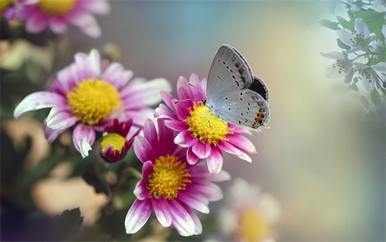 写给幼儿园的寄语 【写给幼儿园的寄语文言文】