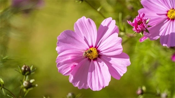 一年级小学生班主任寄语大全 【一年级小学生班主任寄语大全集】 一年级小学生班主任寄语大全 【一年级小学生班主任寄语大全集】