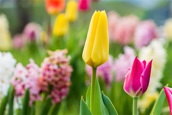 幼儿园给毕业班孩子的寄语 【送给幼儿园毕业班孩子的寄语】