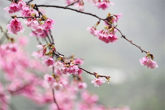 对研究生新生的寄语和祝福-100句