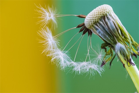 简短的小学毕业家长寄语大全 【简短的小学毕业家长寄语大全怎么写】