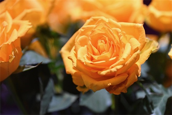 老师给孩子写的一段寄语-100句