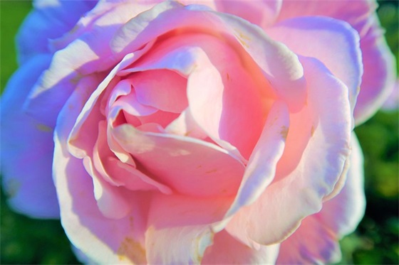 老师寄语 一年级 【老师寄语一年级优秀学生】