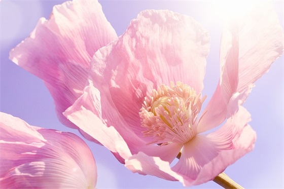 期末父母寄语小学生 【100句精选】