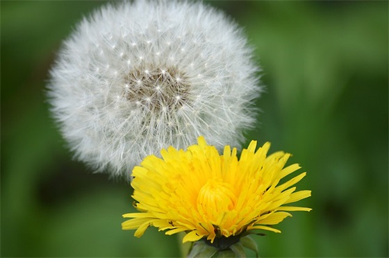 爸爸妈妈小学毕业寄语 【爸爸妈妈给孩子小学毕业简短寄语】