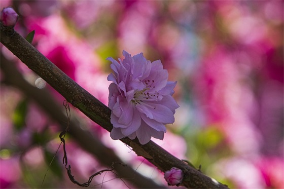 五年级学生寄语简短 【100句精选】