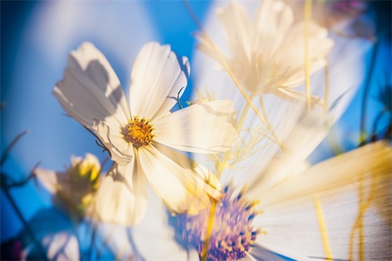 高中对孩子的希望和寄语-95句