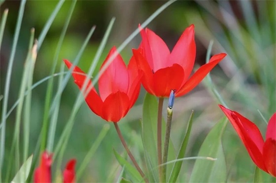 升大班的家长寄语怎么写 【幼儿园升大班寄语家长简短寄语】