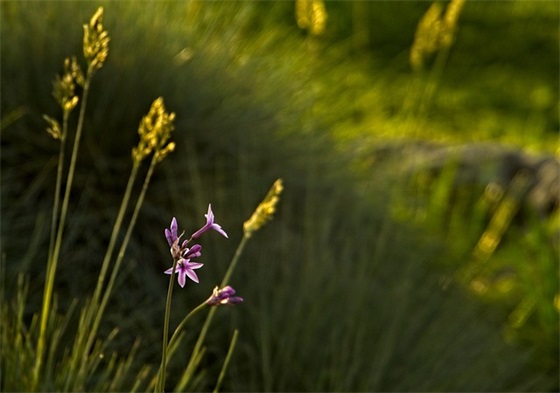 新的学期开始了家长对学生的寄语-100句