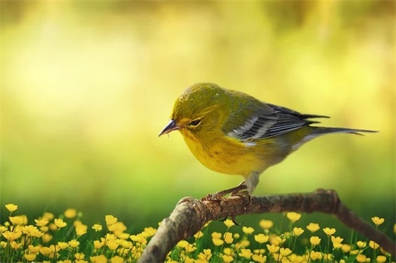 毕业寄语是写给谁的-100句