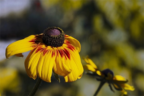 对孩子上幼儿园的寄语 【对孩子上幼儿园的寄语一句话】