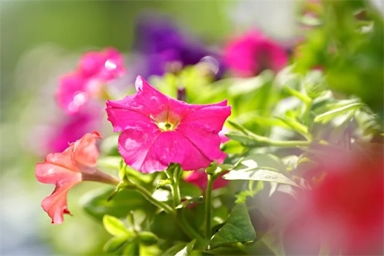 什么是职校、职高、技校、中专、大专以及各个之间的区别