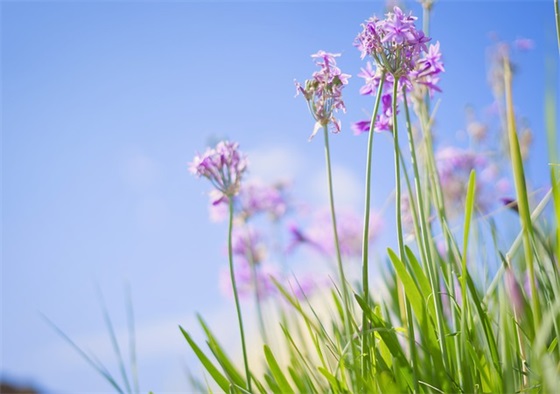 什么是数字营销？包含哪些内容？