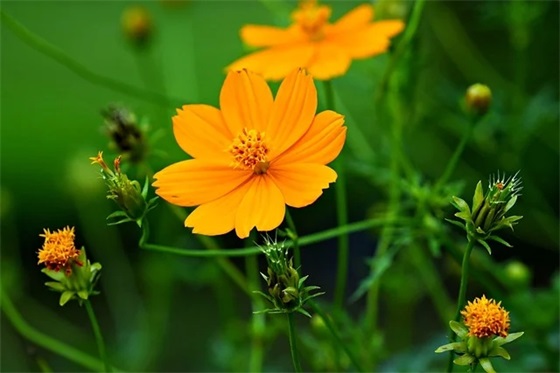 什么是真爱?主要从这几个方面辨别