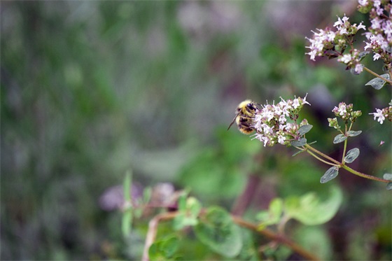 什么是七情六欲？这是最诗意的回答