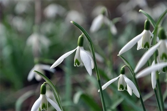 什么是软件外包公司？到底要不要去外包公司工作？