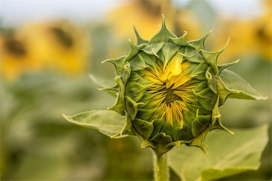 什么是屏蔽网线、非屏蔽网线，超五类双屏蔽网线？一文彻底了解清楚