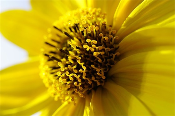 什么是系统集成，什么是系统集成商？