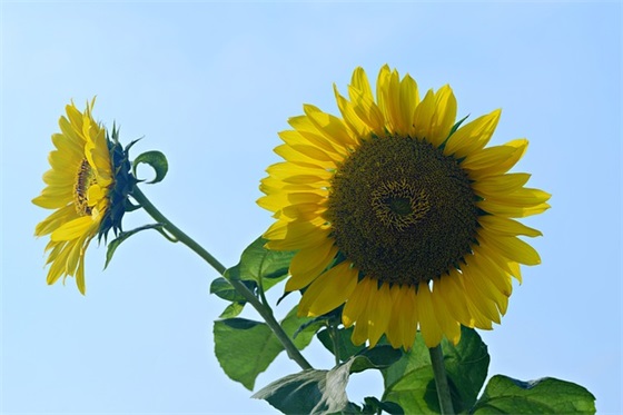 什么是三级等保